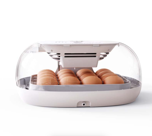 Wonegg New Hot Bán M16 Mini lồng ấp trứng hoàn toàn tự động gà lồng ấp và nở máy - Product Image 2
