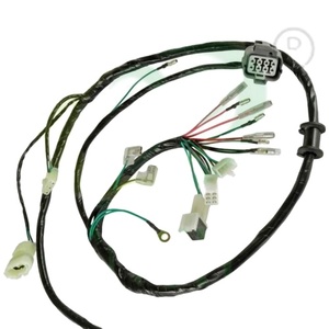 Bộ Dây Điện Lắp Ráp RZR ATV UTV Cho Honda TRX300 TRX300FW 2X4 4x4 - Product Image 1
