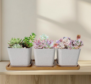 Ensemble de pots à herbes avec plateau en bambou, lot de 3 pots d'intérieur pour <span class=keywords><strong>basilic</strong></span>, menthe, origan, jardin d'herbes aromatiques pour fenêtre de cuisine - Product Image 5