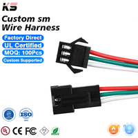 Connecteur JST SM 2 broches mâle-femelle, faisceau de câbles, assemblage de câblage, boîtier en plastique, service OEM personnalisé