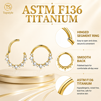 Anneau de septum en titane G23 personnalisé en usine, zircon taille cœur, 8/10 mm, ornement de piercing nasal pour la décoration corporelle nasale