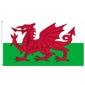 Пользовательские наружные полиэфирные флаги Канады День Новинка канадский флаг с цифровой печатной моделью мирового флага прямо от производителя - Product Image 5