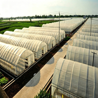 Kit de serre en film plastique multi-spans personnalisable pour l'agriculture, la culture hydroponique de tomates, de choux et de laitues