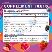 Mélange de poudre de peptides de collagène multi-fruits rouges avec peptides de collagène à spectre complet pour la peau, les cheveux et les ongles, marque privée OEM