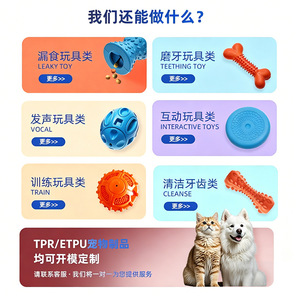 Jouets d'entraînement pour animaux de compagnie en TPR personnalisés, jouets transparents en forme d'os pour le nettoyage des dents des chiens, fabrication OEM de jouets pour chiens transfrontaliers - Product Image 3