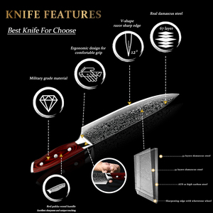 Couteau <span class=keywords><strong>de</strong></span> cuisine japonais damas AUS, 8 pouces, 67 couches, 10 lames, manche Pakka rouge, Chef <span class=keywords><strong>de</strong></span> <span class=keywords><strong>boucher</strong></span>, BBQ <span class=keywords><strong>Pro</strong></span>, Offre Spéciale - Product Image 5
