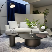 Ensemble de tables basses ovales minimalistes italiennes, table basse combinée moderne et créative de designer pour salon