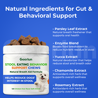 Vente en gros usine : Friandises probiotiques pour chiens, soutien de la santé intestinale et des enzymes digestives, suppléments de prébiotiques et de fibres pour animaux de compagnie (OEM)