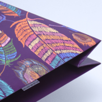 Borsa Regalo in Carta Personalizzata con Ricamo Colorato, Stampa a Quattro Colori, Materiali Riciclati Riutilizzabili, Manico in Nastro