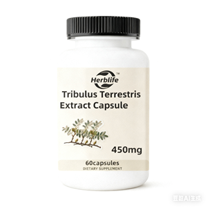 Extracto en polvo de Tribulus Terrestris de marca privada ODM/OEM, suplemento de hierbas para mejorar la resistencia masculina, cápsulas de Tribulus Terrestris - Product Image 1