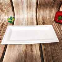 100% assiettes de bagasse de canne à sucre rectangulaires biodégradables compostables 10 pouces plats de fête jetables robustes