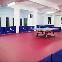 Barreras Profesionales para Tenis de Mesa, Vallas Firmes y Estables para Canchas, Logotipo Personalizado Imprimible, Fabricantes Deportivos, Tubo Galvanizado