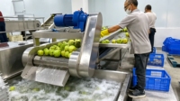 Ligne de production de jus de fruits entièrement automatique, extracteur de jus pour pomme, orange, mangue, raisin (multi-tension)