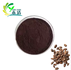 Polvo de extracto de <span class=keywords><strong>cacao</strong></span> de alta calidad al por mayor de fábrica 20%-40% polvo de polifenoles de <span class=keywords><strong>cacao</strong></span> - Product Image 3
