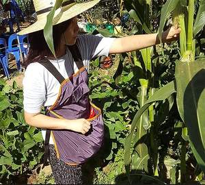 Échantillon gratuit : Sac de cueillette en cuir, sac de bushcraft, sac de récolte de légumes, sac de cueillette de fruits, pochette de rangement pour outils de jardinage, camping - Product Image 3