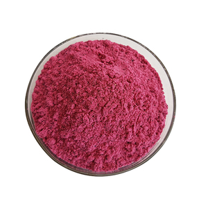 Polvo de fruta de Dragón Rojo, polvo de Pitaya rosa, liofilizado, precio de fábrica - Product Image 1