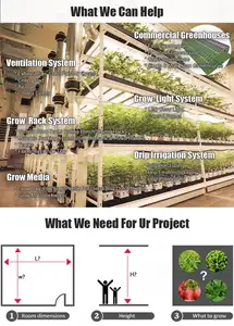 Multi-layers Vertical Rack System Agriculture Hydroponic Indoor Mobile Grow Rack Vertical Indoor Farming