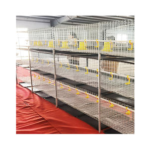 Neuer Hühnerkäfig zum Verkauf <span class=keywords><strong>3</strong></span>-stöckig <span class=keywords><strong>2</strong></span> Türen H-Typ Stahlgitter-Broilerkäfig für 72 Hühner - Product Image 6