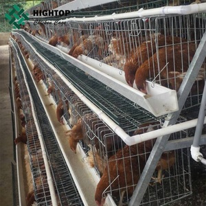 Aves <span class=keywords><strong>de</strong></span> corral capa jaulas <span class=keywords><strong>de</strong></span> pollo para kenya gallina <span class=keywords><strong>granja</strong></span> - Product Image 5