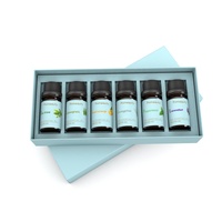 Fournisseur prix de gros boîtes d'emballage personnalisées pour désamorceur logo ensemble de soins de la peau diffuseur d'arôme et de parfum huile essentielle