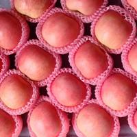 BRC-gecertificeerde IQF gepelde appelblokjes, diepvries, bulkverpakking voor grootschalige jam- en sapproductie met ODM/OEM-aanpassing
