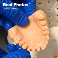 Resin Cetak 3D LEYI DMFO3 untuk Model Gigi, Permukaan Detail Tinggi, Tahan Gores, Mudah Diproses Setelah Pencetakan