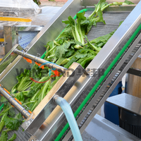 Volautomatische Plantaardige Verwerkingsapparatuur Met Bubbelreiniging