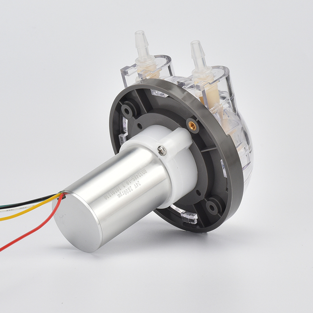 PENGPU P240BL Mini Peristaltic Pump 12V/24V Corrosion-resistant BPT Tube 500mLPM Adjustable Speed DC Brushless Motor Liquid Pump