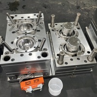 Moule en plastique pour récipient alimentaire Fabricant de moules de Taizhou Moule d'injection plastique