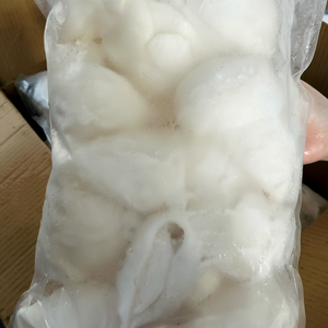 Trozos de Carne de Coco Congelada de Vietnam para Tiendas de Bebidas, Marcas de Smoothies, Fábricas de Postres en Todo el Mundo - Product Image 1