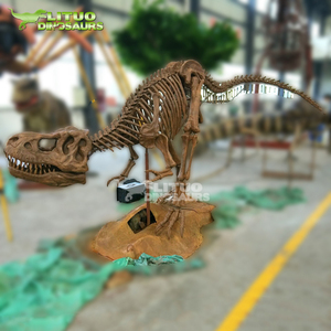 Realismo interior del fósil del esqueleto <span class=keywords><strong>T</strong></span>-<span class=keywords><strong>Rex</strong></span> animatronic alto realista <span class=keywords><strong>de</strong></span> tamaño real para los aeropuertos <span class=keywords><strong>de</strong></span> los centros comerciales - Product Image 1