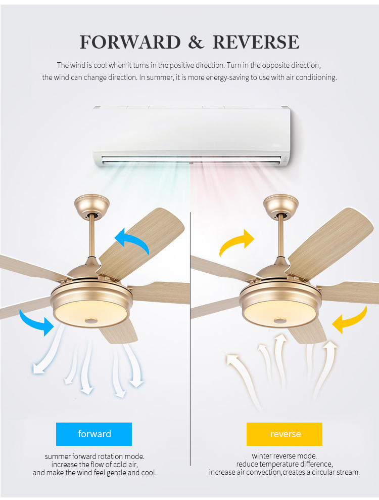 Breeze.Lux 52 inch luxury gold ceiling fan mute M D F leaf blades remote control 220 v ceiling fan light