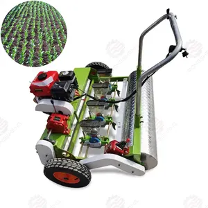 Machine automatique de plantation de semences Semoir pour oignons Semoir de légumes à vendre