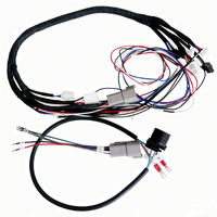 Harness Kabel Listrik Kustom SM 2.54 mm Konektor 8pin ke Harness Kabel Tembaga Listrik Dupont Female