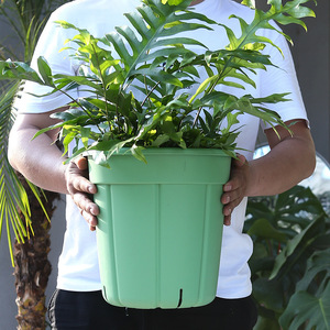 Pots de fleurs en résine Pots de montagne d'orchidée Pots de fleurs en plastique respirants contrôlés par les racines épaissis adaptés aux fleurs de <span class=keywords><strong>lune</strong></span> - Product Image 3