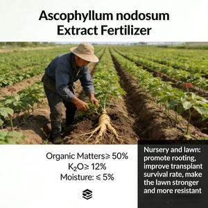 Engrais organique à base <span class=keywords><strong>d</strong></span>'algues noires Agrinorm, extrait <span class=keywords><strong>d</strong></span>'Ascophyllum Nodosum en poudre, 100% soluble dans l'eau, améliore la qualité des fruits en agriculture - Product Image 4