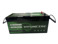 Batterie au lithium Li-ion LiFePO4 Lipo4 12V pour système d'énergie solaire 100Ah 200Ah 300Ah