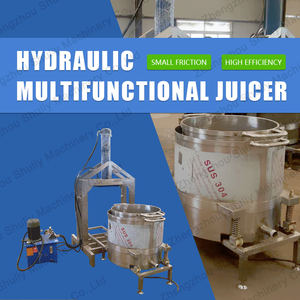 Presse-agrumes hydraulique à froid pour citrons et oranges, extracteur de jus de fruits, déshydrateur de fruits à pression froide - Product Image 2