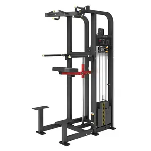 Apparaat Fitness Fitness Machine Krachttraining Commerciële Gymnastiekgewichten Mnd-Fm11 Dip/Kin Assist