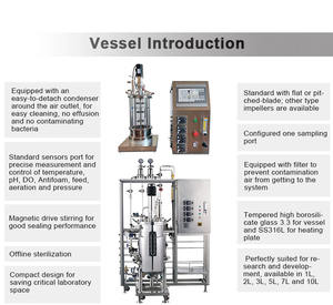 Fermentador Cónico de Vidrio para Laboratorio, Fermentador de Vidrio con <span class=keywords><strong>Espiga</strong></span>, Biorreactor de 10 l para Cultivo de Microorganismos, Levaduras y Hongos - Product Image 6