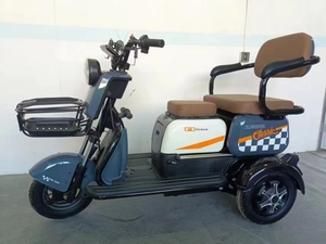 <span class=keywords><strong>Vélo</strong></span> pliant électrique Portable populaire pour adultes personnes âgées <span class=keywords><strong>handicap</strong></span>ées <span class=keywords><strong>moteur</strong></span> à 3 vitesses 60V acier sans brosse pour les loisirs de trajet - Product Image 4