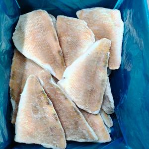 Filetti di Merluzzo Congelati all'Ingrosso (Sebastes Mentella/marinus/alutus) per Ristoranti e Servizi di Ristorazione con Opzioni Personalizzabili - Product Image 3