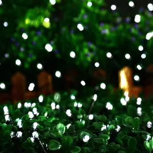 Indoor and outdoor copper wire CR2032 battery powered LED light string fairy light Amazon super long use