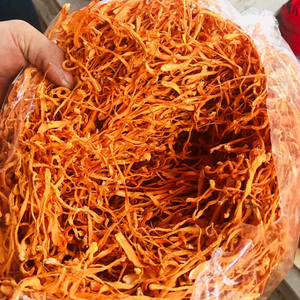 Bunga Cordyceps Emas Grosir, Bunga Cordyceps Militaris Kuning Alami, Cordyceps Kepala Macan, Jamur Cordyceps yang Dapat Dimakan, Jamur Murni - Product Image 3