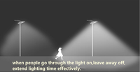 Lampe solaire LED pour rue, étanche IP65, 6000LM, avec contrôleur solaire MPPT, batterie incluse, marche/arrêt automatique