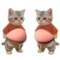 Stiker Kucing 3D TPR Kreatif Pereda Stres Perut Buncit Hadiah Lucu untuk Usia 14 Tahun & Model D109-2 Unisex