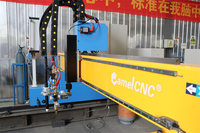 Máquina de Corte por Plasma CNC de Tipo Pórtico CAMEL CNC CA-2060 con Motor Paso a Paso/Engranaje, Software Fastcam, Fácil Operación, Acero Inoxidable