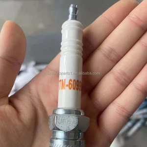 หัวเทียนสำหรับอุตสาหกรรม TTM-60999Z RB77CC RB77WPCC RB77WPC สำหรับปลั๊กเครื่องกำเนิดรุ่น3500ของหนอนผีเสื้อ - Product Image 5