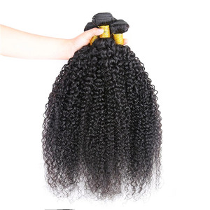 Kinky Curly Cuticle Aligned <strong>Exclusive</strong> Virgin Hair <strong>Bundles</strong> Southeast Asian Burmese Raw Curly Hair <strong>1</strong> Piece 15 Days No Reason