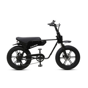 Bicicleta Eléctrica de Alta Calidad con Suspensión, 7 Velocidades, Frenos de Disco Hidráulicos, Batería de Litio de 48V en el Buje Trasero, Motor de 350W, para Dos Personas, Modelo E Time Tourist - Product Image 2